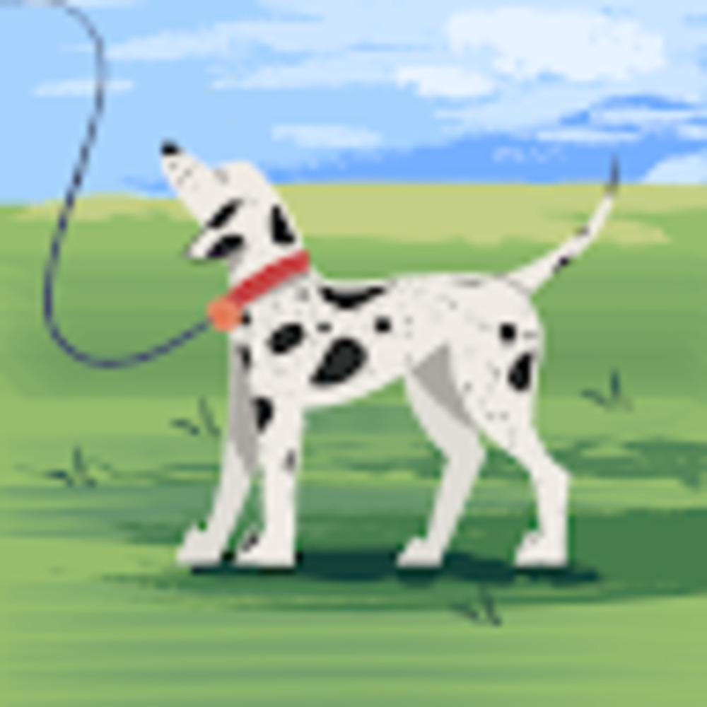 Meet your Posher, Nikki